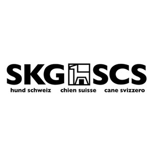 SCS - logo